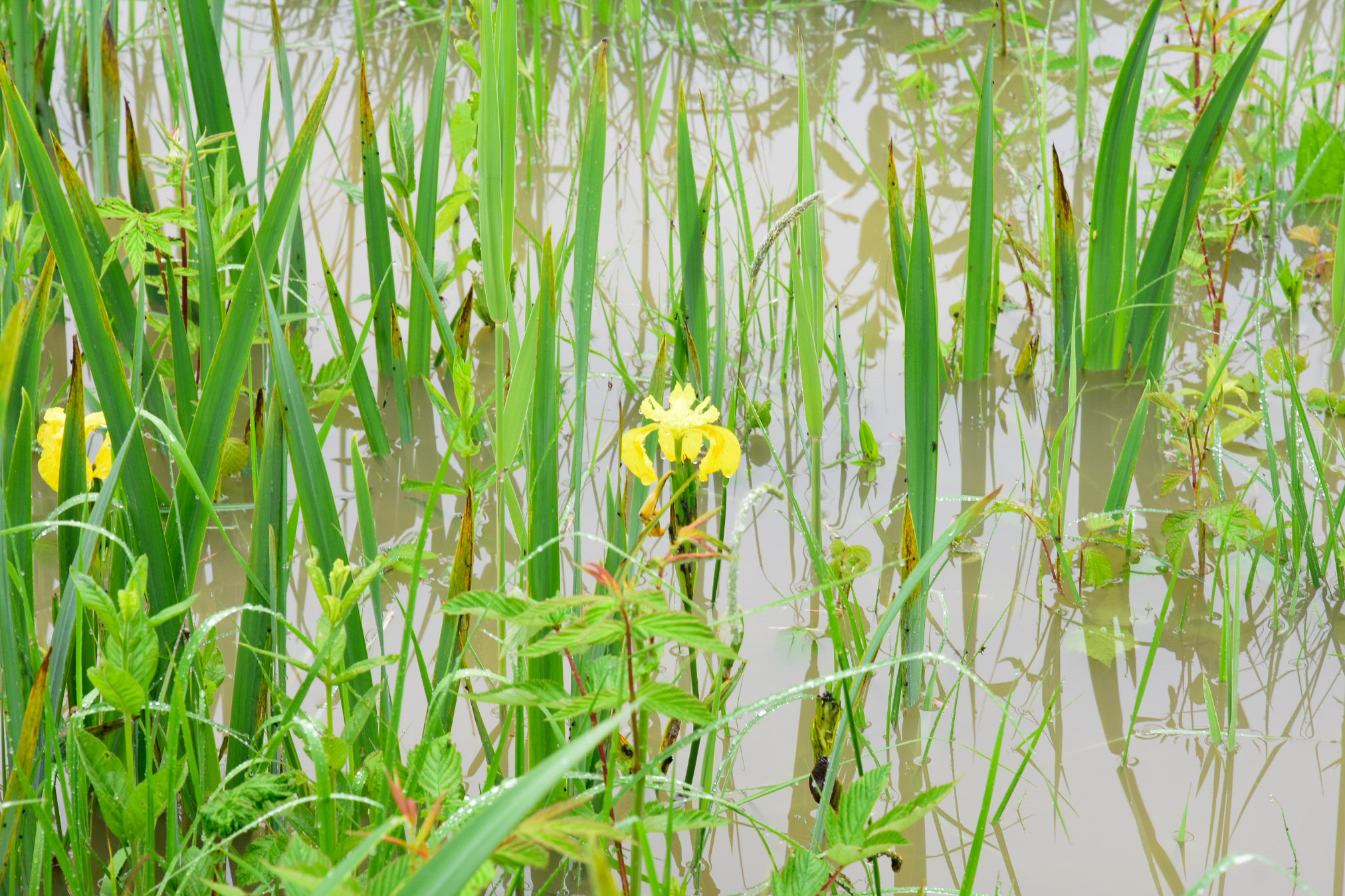 20240602073706 AOA0272